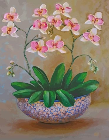 White Orchid Blooms Paint By Numbers