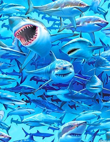 Blue Megalodon Sea Frenzy Paint By Numbers