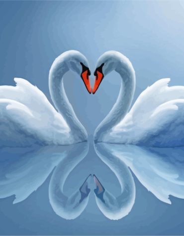 Graceful White Swans Paint By Numbers