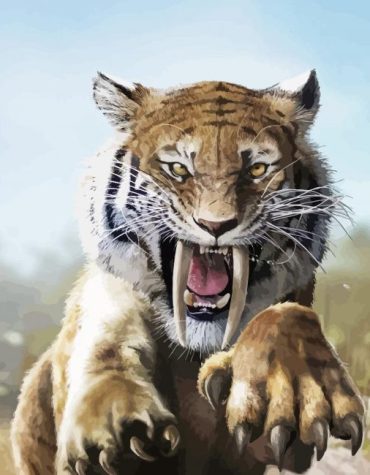 Wild Saber Tooth Tiger Art Paint By Numbers