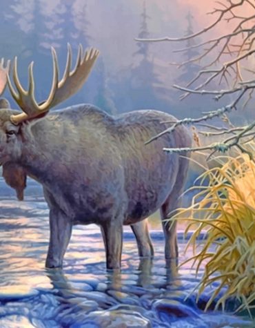 Majestic Moose by the Lake Paint By Numbers