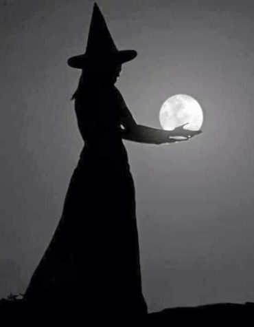 Mystical Witch Moon Paint By Numbers