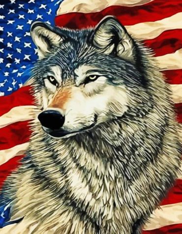 Wolf and American Flag Paint By Numbers