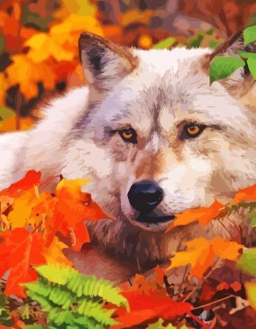 Autumn Wolf Paint By Numbers