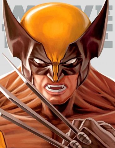 Logan Superhero Paint By Numbers