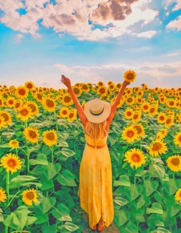 Woman in Sunflowers Paint By Numbers