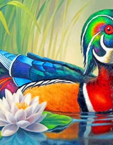 Wood Duck and Lotus Paint By Numbers