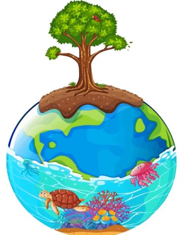 Earth Tones World Paint By Numbers