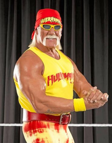 Hulk Hogan Wrestling Legend Paint By Numbers