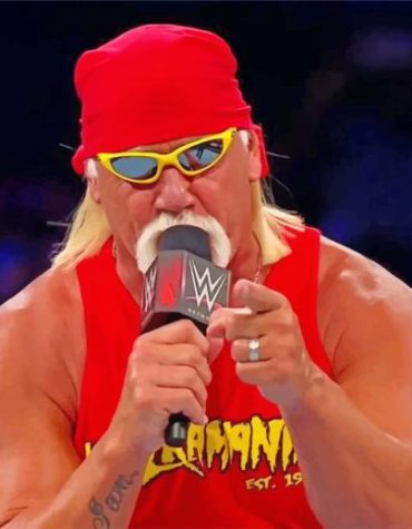 Hulk Hogan Wrestlers Paint By Numbers
