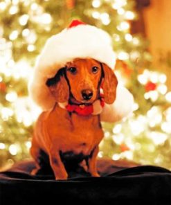 Festive Dachshund Paint By Numbers