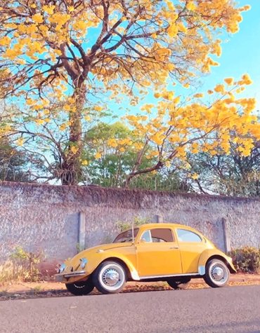 Yellow Vintage Car Paint By Numbers