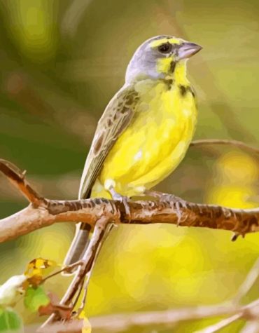 Yellow Canary Bird Painting Paint By Numbers