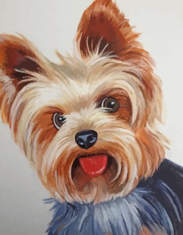 Yorkshire Terrier Pup Paint By Numbers