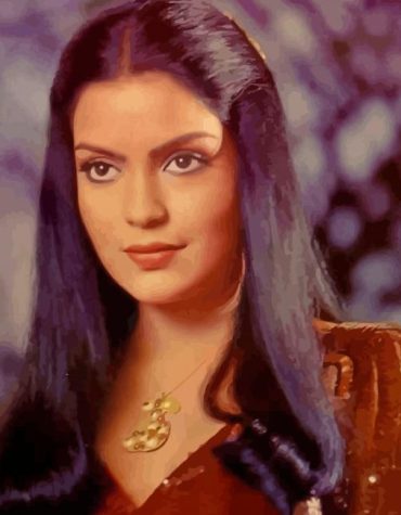 Zeenat Aman Iconic Films Paint By Numbers