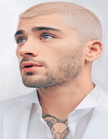 Zayn Malik Singer Paint By Numbers